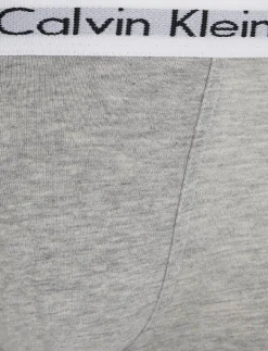 Calvin Klein 2 PACK TRUNK - Kalsonger WHITE GREY HTR Discount