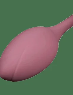 Amaysin Licking Rose and Egg Vibrator - Beauty ROSA Online