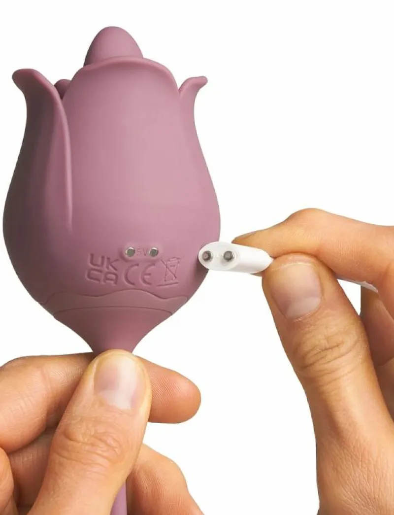 Amaysin Licking Rose and Egg Vibrator - Beauty ROSA Online