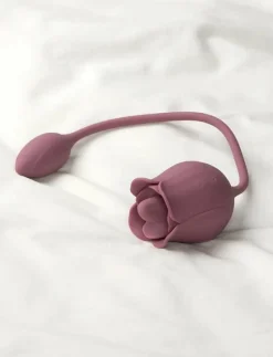 Amaysin Licking Rose and Egg Vibrator - Beauty ROSA Online