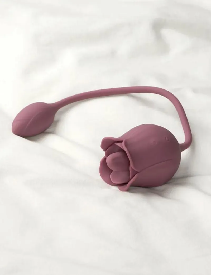 Amaysin Licking Rose and Egg Vibrator - Beauty ROSA Online