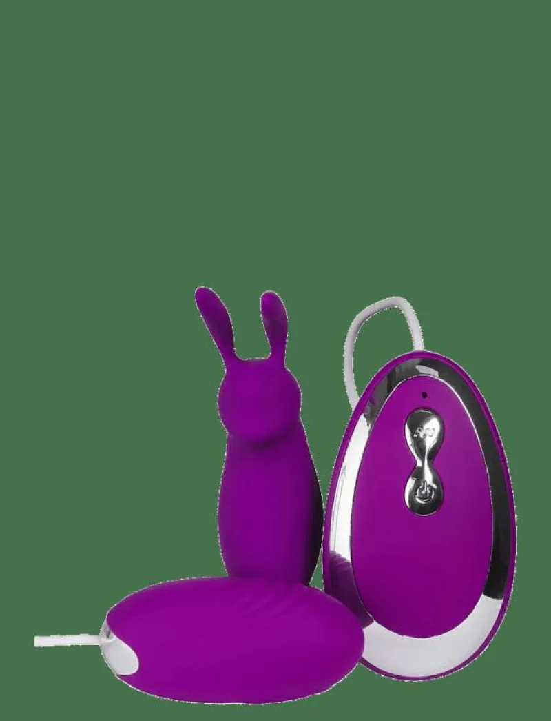Bunny Tickler and Egg Vibrator with Remote Control - Beauty|Baseks Discount
