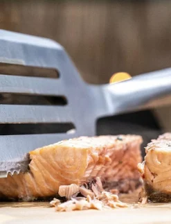 BBQ+ Stekspade 43 cm - Grilltillbehör|Zwilling Hot