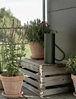 Stelton Bloom vattenkanna 2 l. - Vattenkannor PINE Clearance