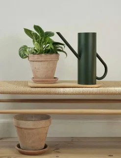 Stelton Bloom vattenkanna 2 l. - Vattenkannor PINE Clearance