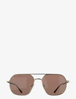 Corlin Eyewear Chase Gold Brown - Pilot New