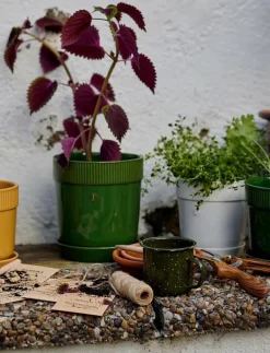 Elise Pot - Krukor|Sagaform Online