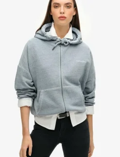 Superdry ESSENTIAL LOGO OVERDYED ZH - Huvtröjor BLUE FOG Hot