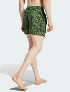 adidas Performance FARM SWIMSHORT - Badbyxor CREGRN/BLACK/SEMSPA Online