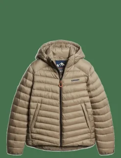 HOODED FUJI PADDED JACKET - Fodrade jackor|Superdry Clearance