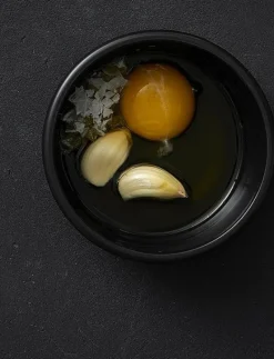 Bamix Mixer skiva - Stavmixers METAL Outlet