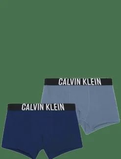 2PK TRUNK - Kalsonger|Calvin Klein Sale