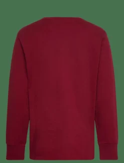 Polo Bear Cotton Long-Sleeve Tee - Sweatshirts|Ralph Lauren Kids Discount