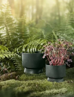 Rosendahl RO Blomkruka Ø12 cm - Krukor DARK GREEN Sale