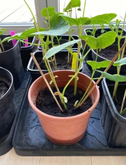 tica copenhagen Shoe and boot tray rubber - Skobrickor FOOTWEAR DESIGN Hot