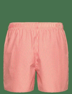 adidas Sportswear SRPY CLX SHO SL - Badbyxor SELURE/BLACK Clearance