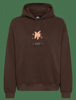 Quiksilver STANDARD HOODIE - Huvtröjor CHOCOLATE BROWN Sale
