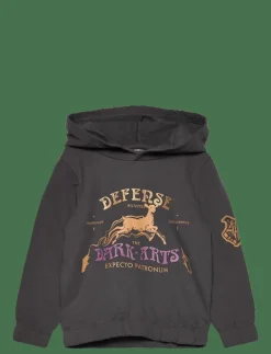 Harry Potter SWEATS - Huvtröjor GREY Online