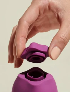 The Poet - Satisfyers|Smile Makers Best