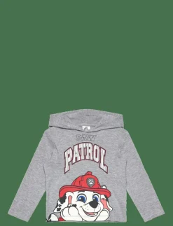 Paw Patrol TSHIRT - Huvtröjor LGREY Best